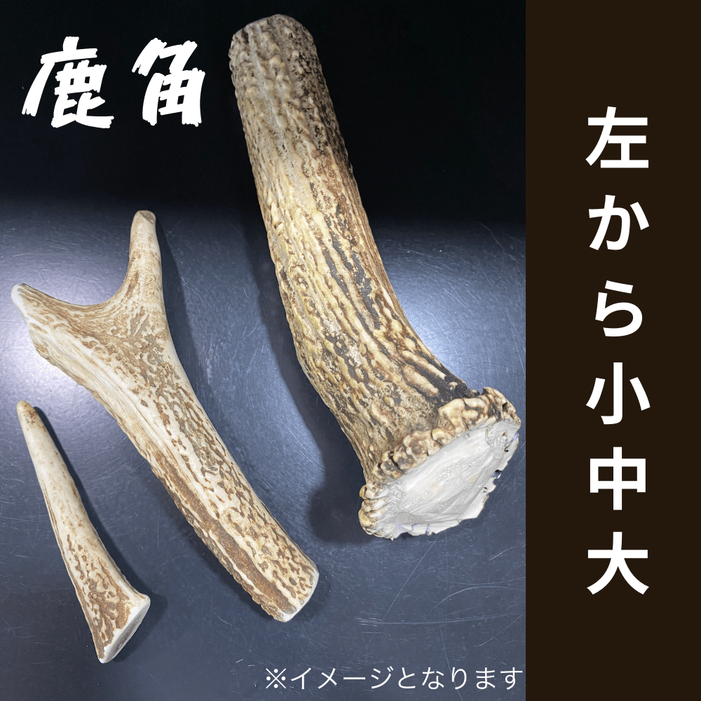 鹿角