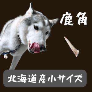 鹿角