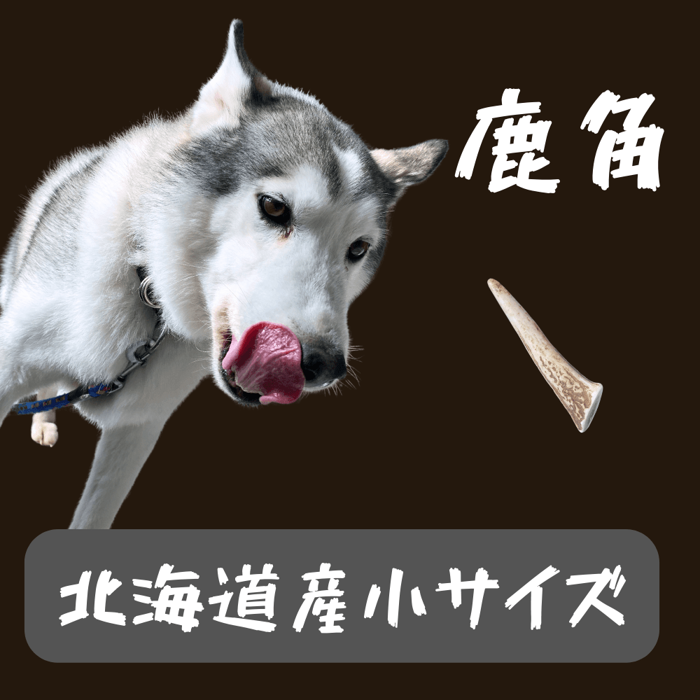 鹿角