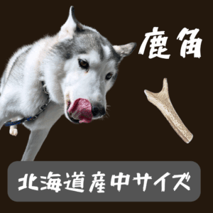 鹿角