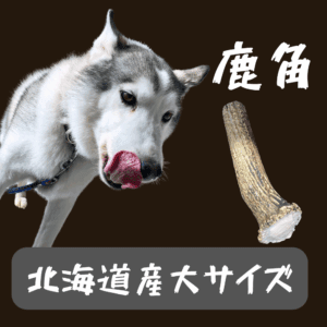 鹿角