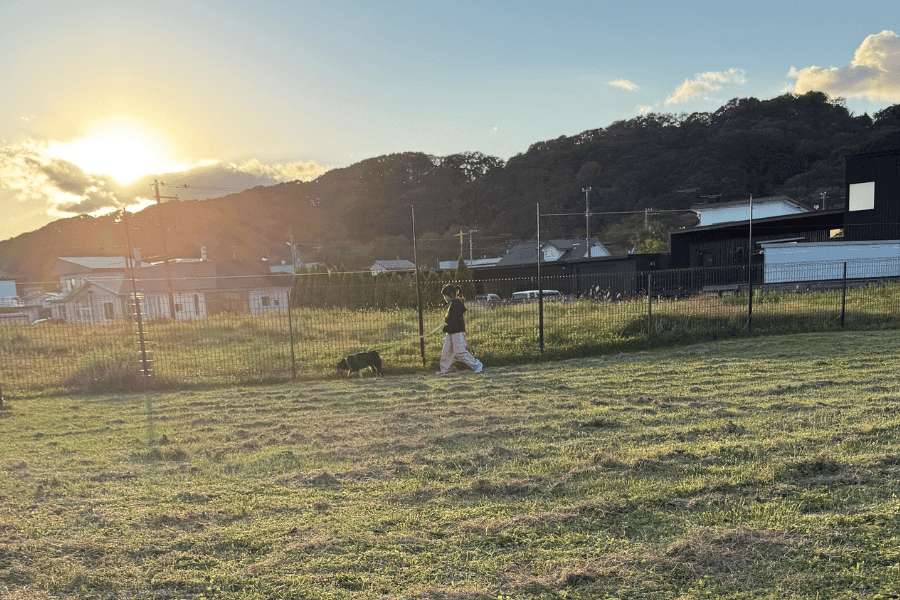 白老ゆじぇらーとと柴犬