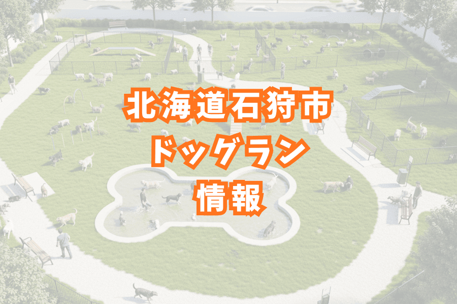 北海道石狩市ドッグラン情報